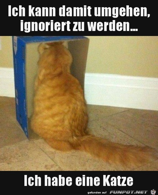 Lass mich in Ruhe Lass mich in Ruhe