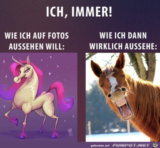 Auf Fotos Auf Fotos