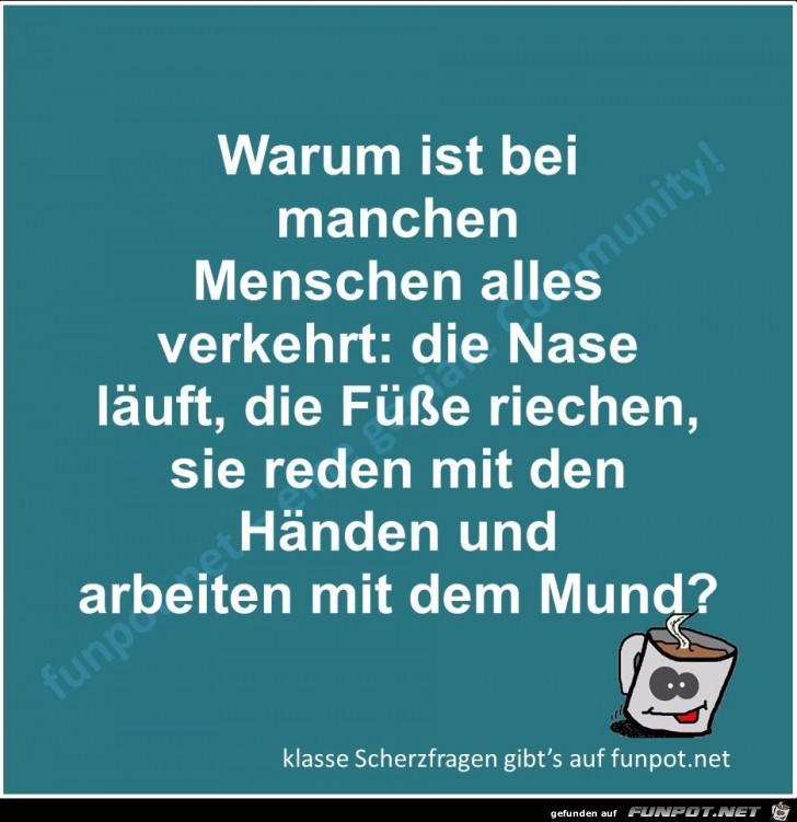 Scherzfrage Scherzfrage