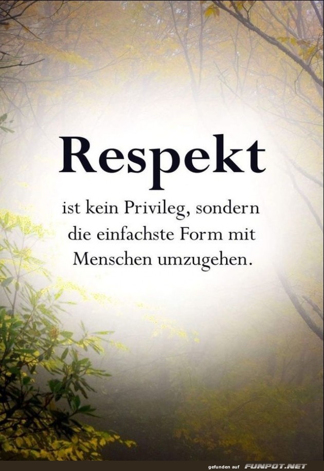 10 sch�ne Spr�che und Lebensweisheiten aus...