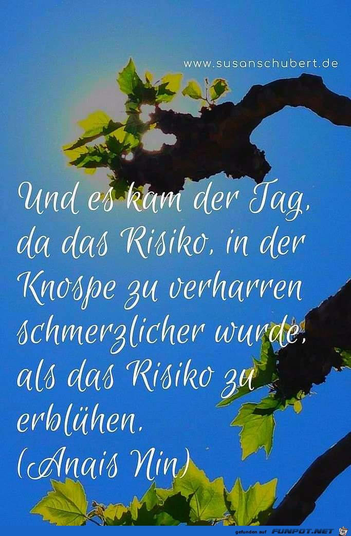 und es kam der Tag und es kam der Tag