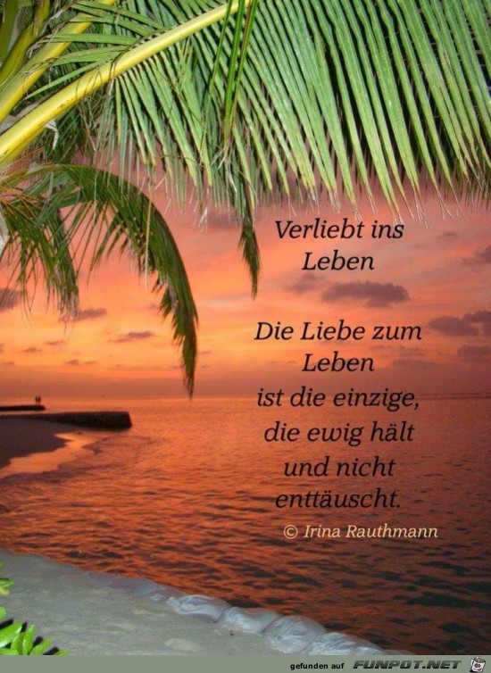 verliebt ins leben