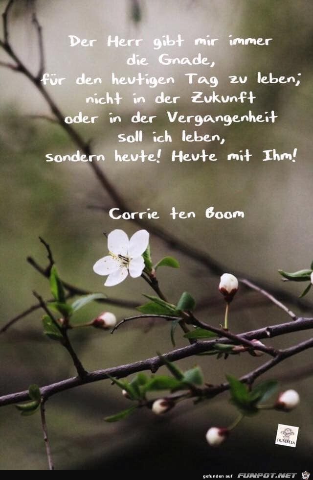 Der Herr gibt mir immer die Gnade Der Herr gibt mir immer die Gnade