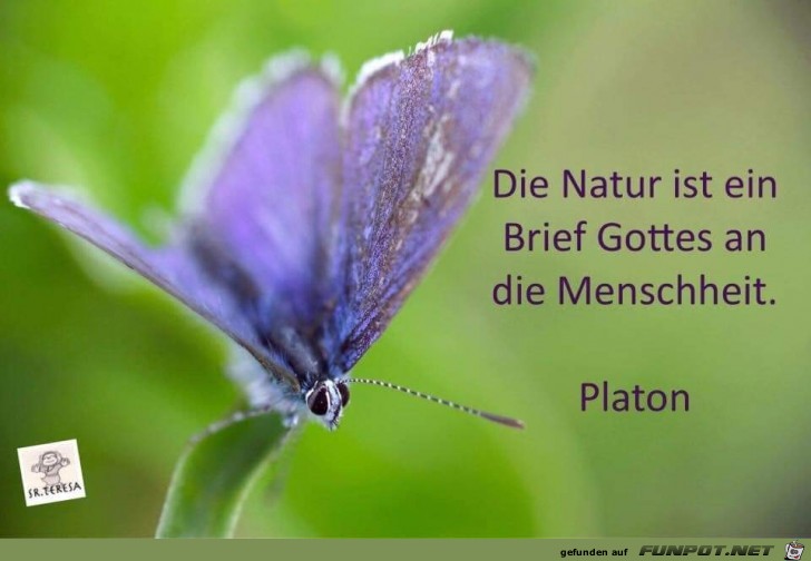 die Natur ist die Natur ist