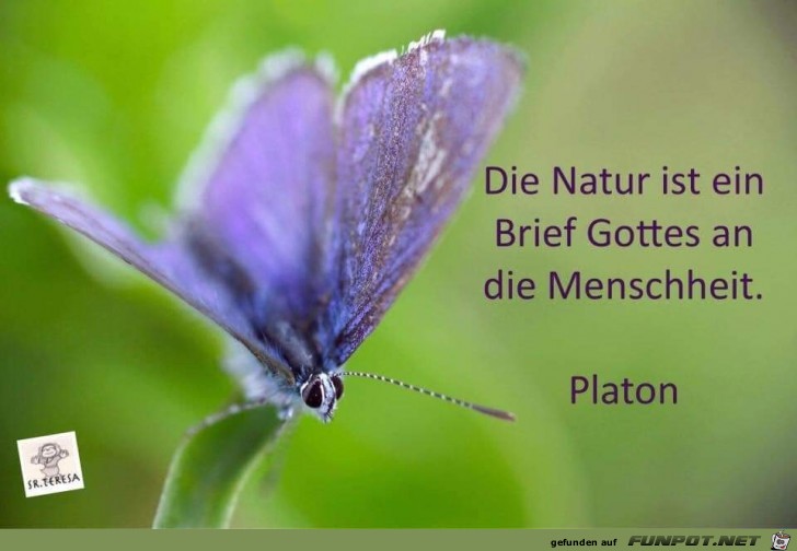 die Natur ist