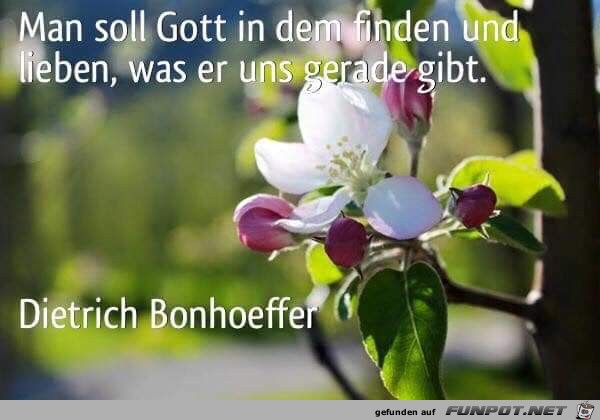 man soll gott man soll gott