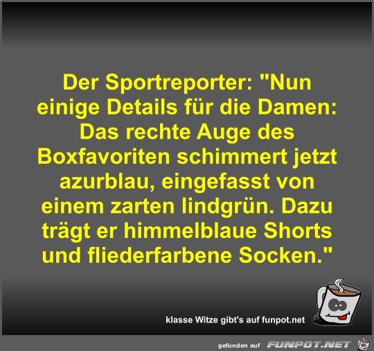 Der Sportreporter Der Sportreporter