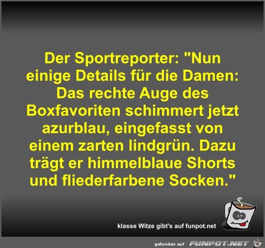 Der Sportreporter