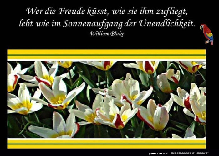Wer die Freude kuesst Wer die Freude kuesst