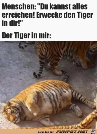 Eher faul als sonst was Eher faul als sonst was