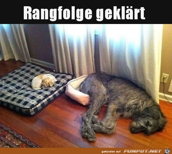 So kann es gehen So kann es gehen