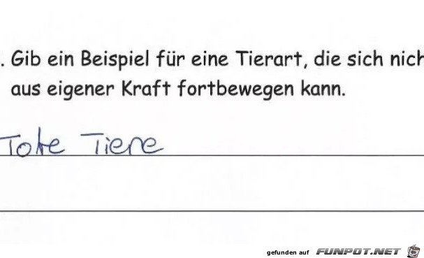 Klassenarbeit02 Klassenarbeit02