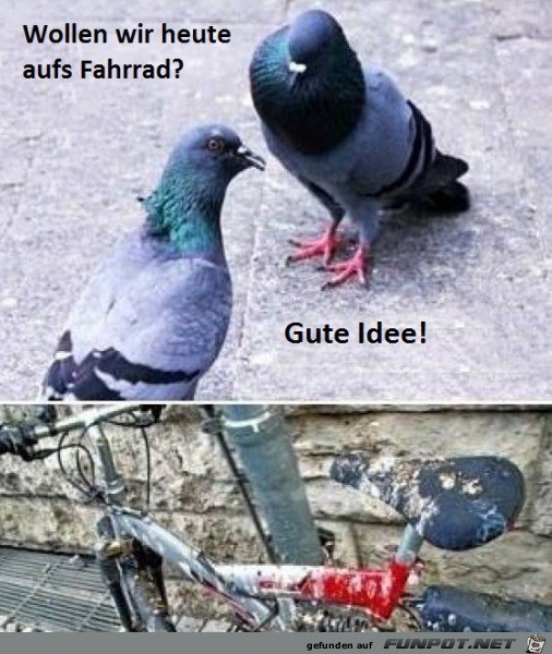 Heute mal das Fahrrad