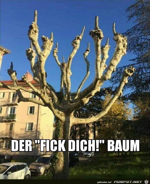 Der F*ck Dich! Baum