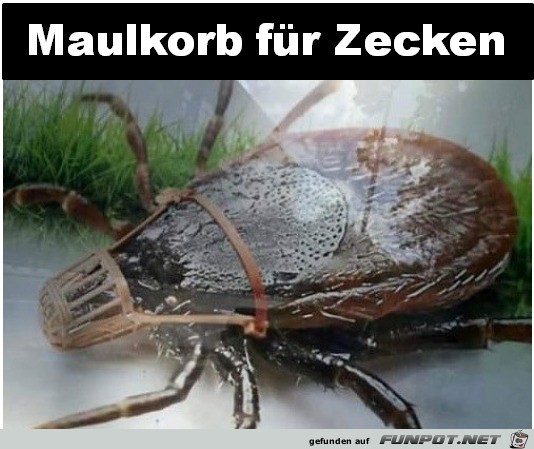 Das wäre prima Das wäre prima