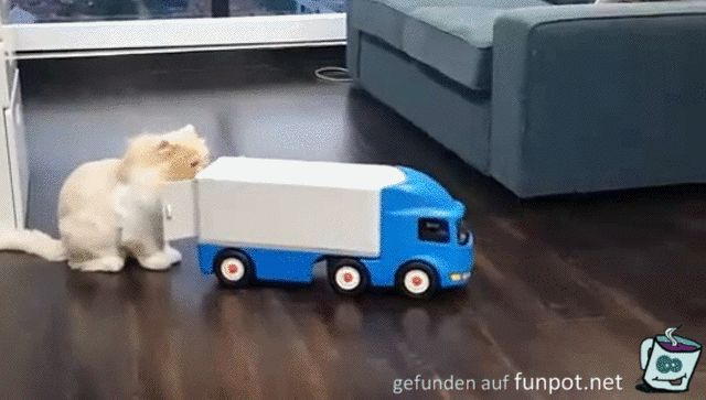 Da will ich rein Da will ich rein