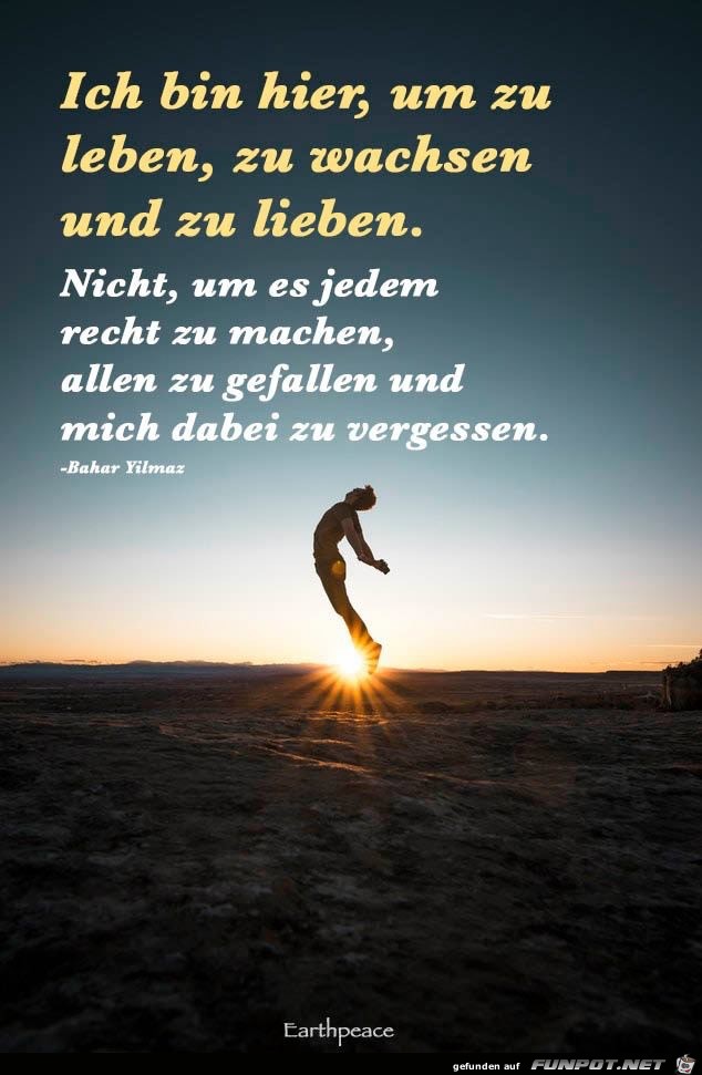 ich bin hier um zu leben.. ich bin hier um zu leben..