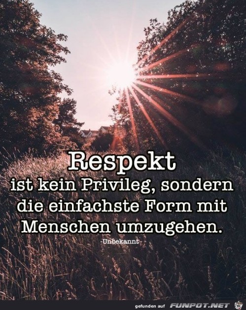 respekt ist kein Privileg