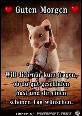 will dich nur kurz fragen will dich nur kurz fragen