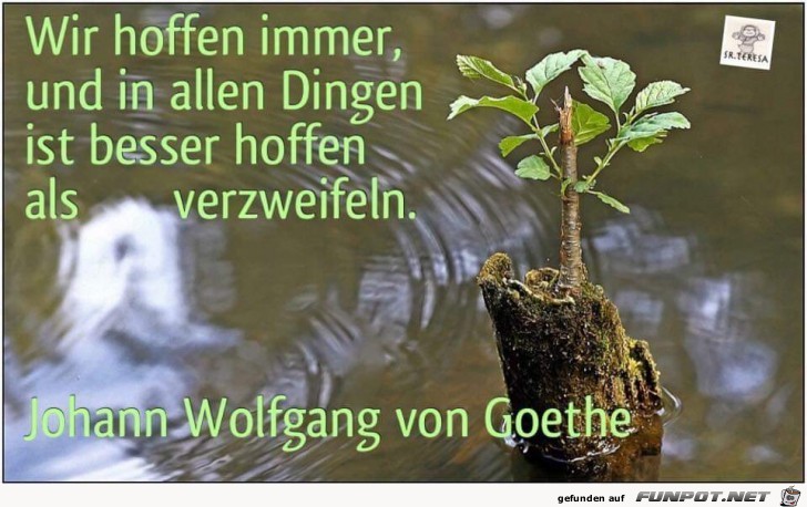 wir hoffen immer wir hoffen immer
