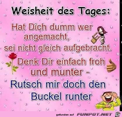 hat dich dumm wer angemacht