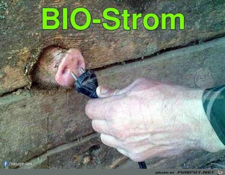 Bio-Strom