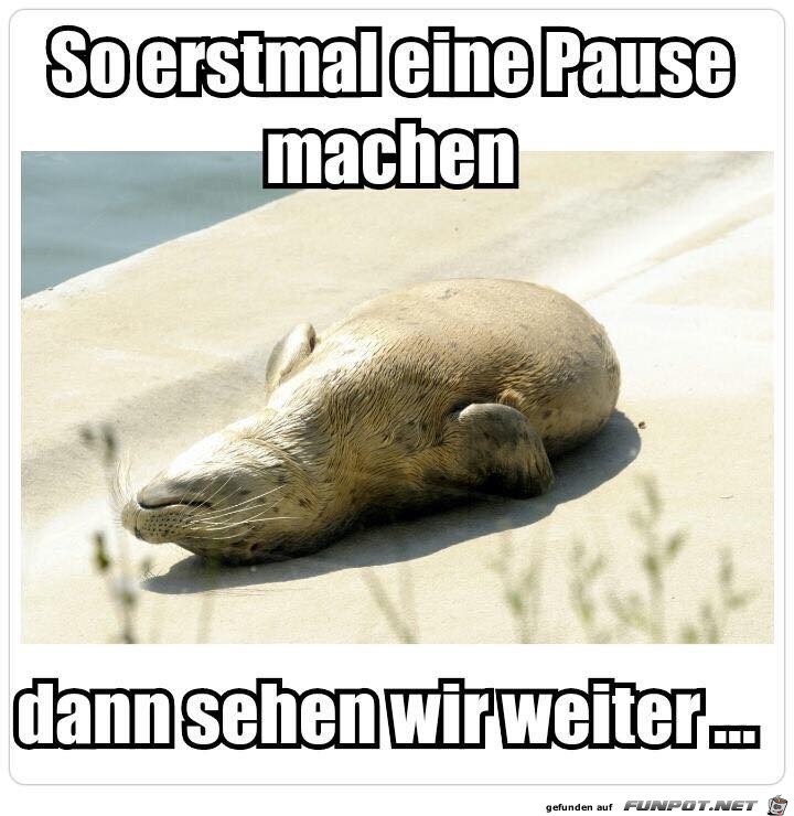 Pause Pause