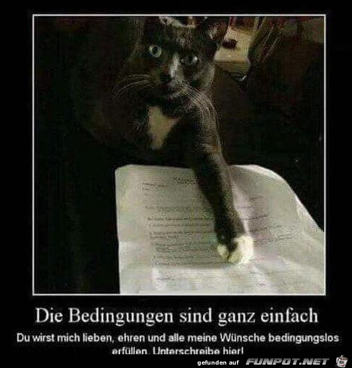 Ganz einfach Ganz einfach