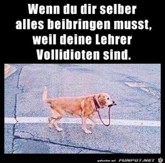 wenn du dir selber wenn du dir selber
