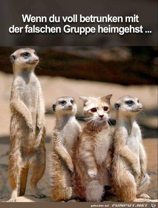 wenn du voll betrunken wenn du voll betrunken