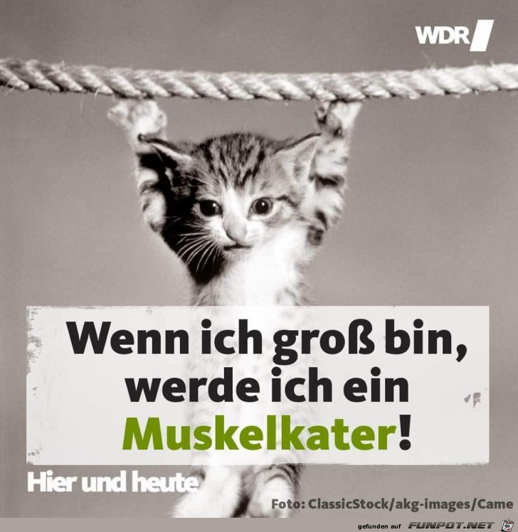 wenn ich gro ss bin wenn ich gro ss bin