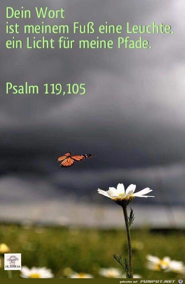 Psalm 119.105