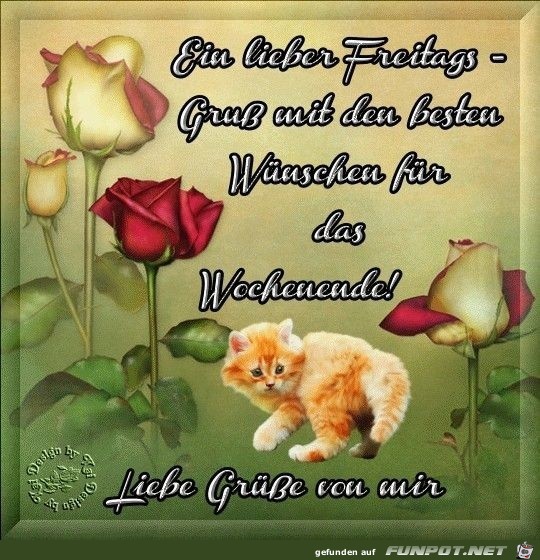 Freitagsgruß Freitagsgruß