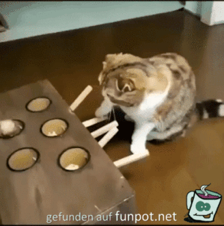 Lustiges Spielzeug Lustiges Spielzeug