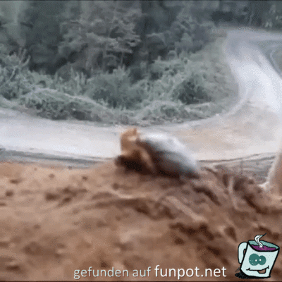 Das geht aber schnell Das geht aber schnell