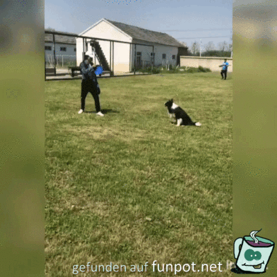 Super Training Super Training