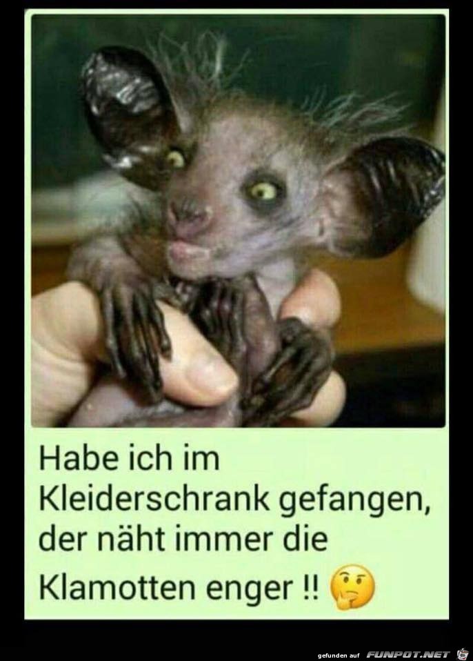 Der Übeltäter Der Übeltäter