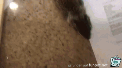 Warmes Plätzchen Warmes Plätzchen