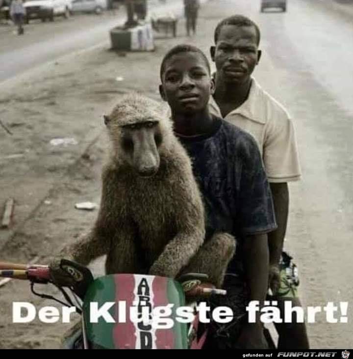 der Kluegste der Kluegste