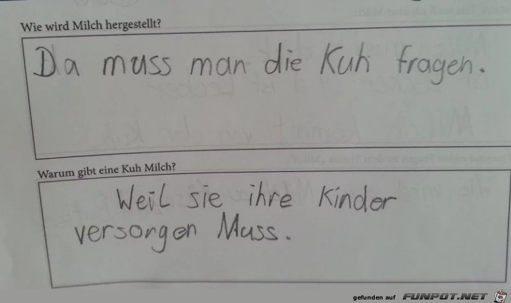 Die Kuh Die Kuh