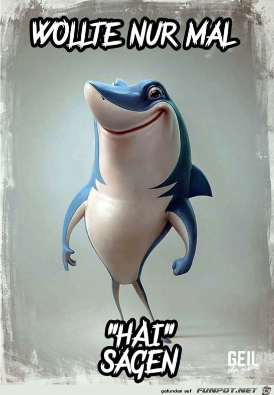 Hai Hai