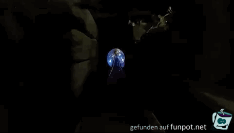 Was der Zugführer sieht Was der Zugführer sieht