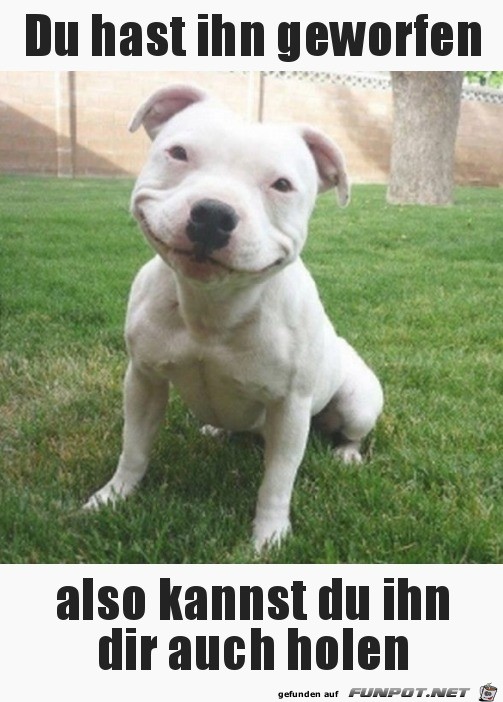 Hol ihn selber Hol ihn selber