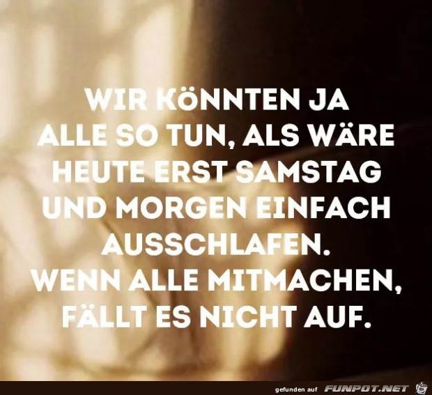 Faellt nicht auf Faellt nicht auf