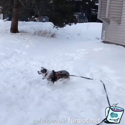 Schneeball fangen Schneeball fangen