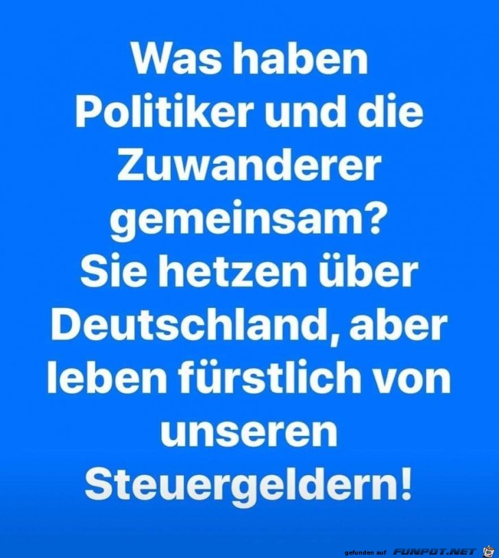 Politiker Politiker