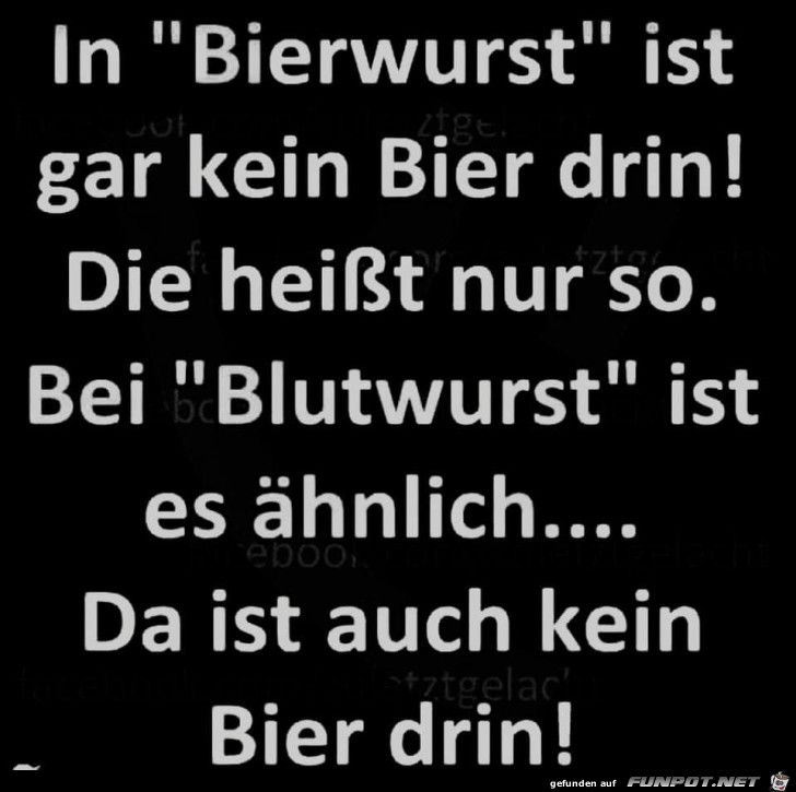 Bierwurst Bierwurst