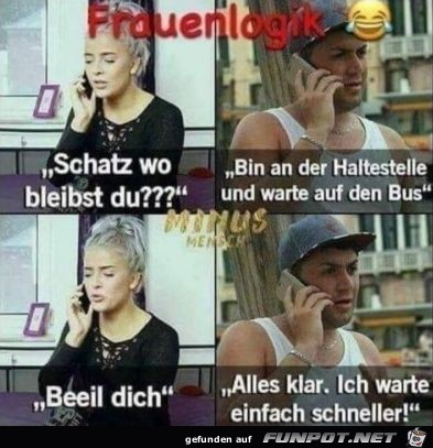 Frauenlogik Frauenlogik