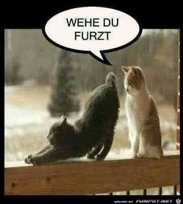 Wehe Wehe