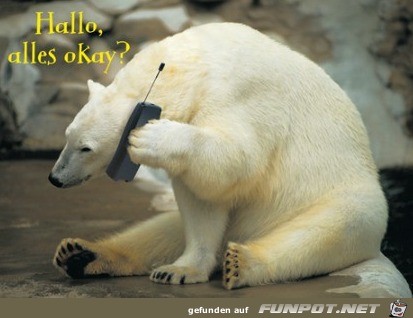 Alles okay? Alles okay?